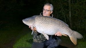 Common Carp