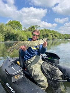 Northern Pike