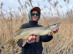 Northern Pike