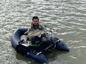 Zander