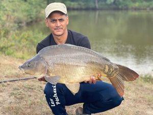 Mirror Carp