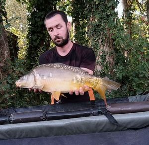 Mirror Carp