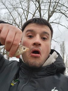 Roach