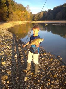 Largemouth Bass