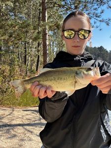 Largemouth Bass