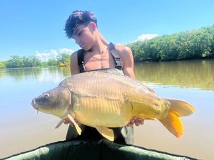 Mirror Carp