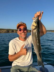 European Bass (Seabass)