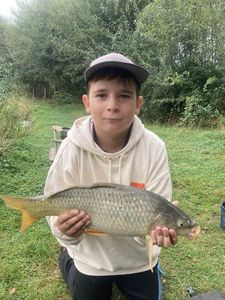 Common Carp