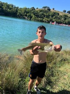 Largemouth Bass