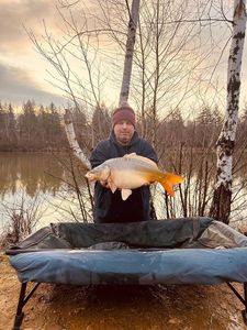 Mirror Carp