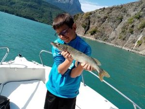 Northern Pike