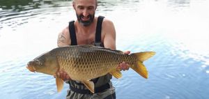 Common Carp