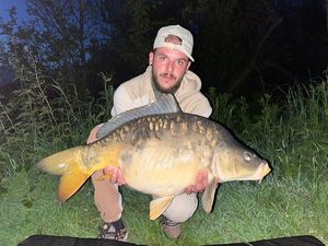 Mirror Carp