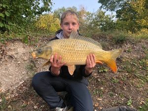 Common Carp