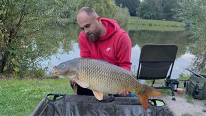 Common Carp