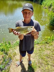 Largemouth Bass