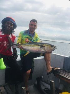 Yellowfin Tuna