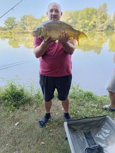 Mirror Carp