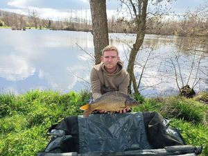 Common Carp