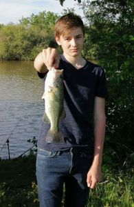 Largemouth Bass