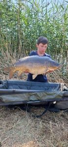 Mirror Carp