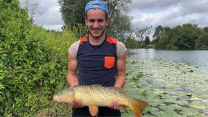 Common Carp