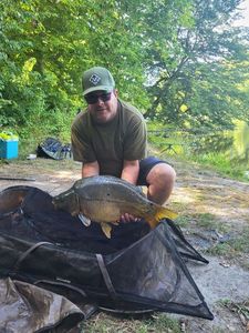 Mirror Carp