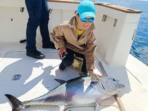 Bluefin Tuna