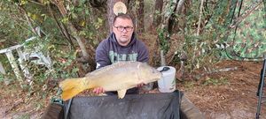 Mirror Carp