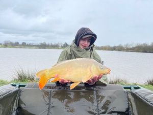 Mirror Carp