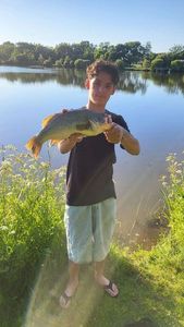 Smallmouth Bass