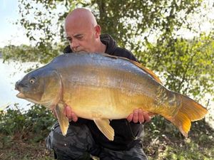 Mirror Carp