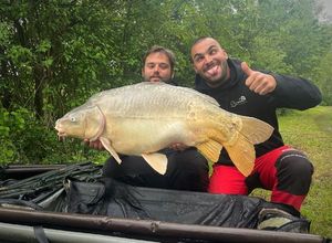 Mirror Carp