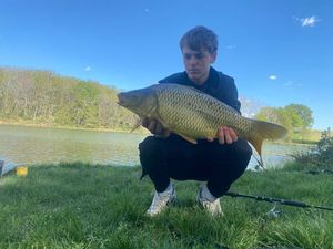 Mirror Carp