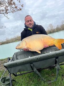 Mirror Carp