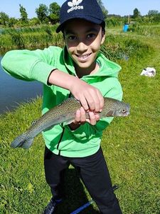 Rainbow Trout