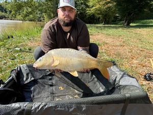 Mirror Carp