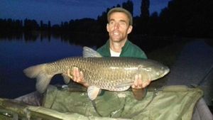 Grass Carp