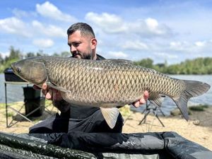 Grass Carp