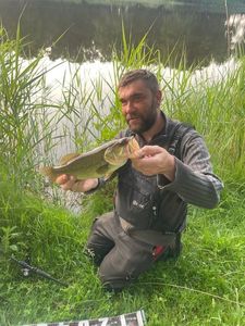 Largemouth Bass