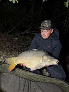 Mirror Carp