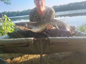 Wels
