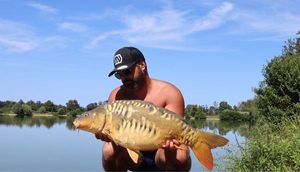 Mirror Carp