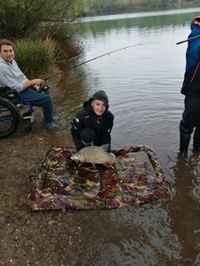 Common Bream