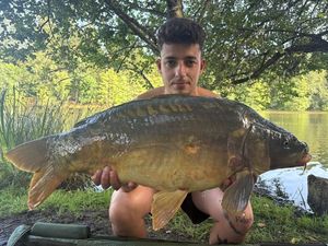 Mirror Carp