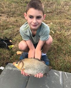 Crucian Carp