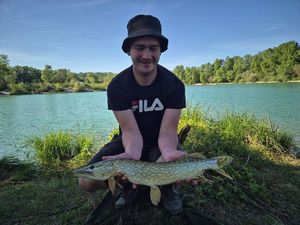 Northern Pike