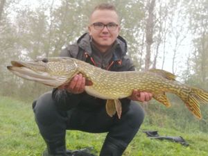 Northern Pike
