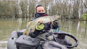Northern Pike