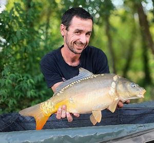 Mirror Carp